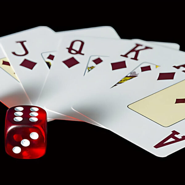 Experience the Evolution: New Haven Casino Redefines Online Gaming with Unmatched Variety